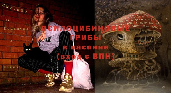 винт Аркадак