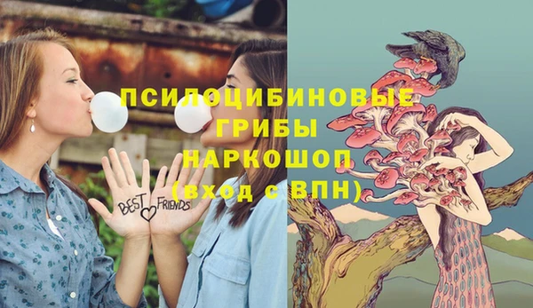 винт Аркадак