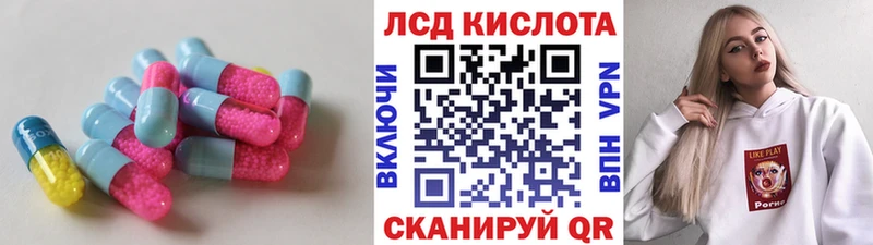 ЛСД экстази ecstasy  даркнет сайт  Черняховск 