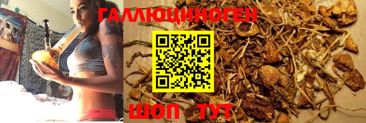 Псилоцибиновые грибы GOLDEN TEACHER  Вход с VPN  Черняховск 
